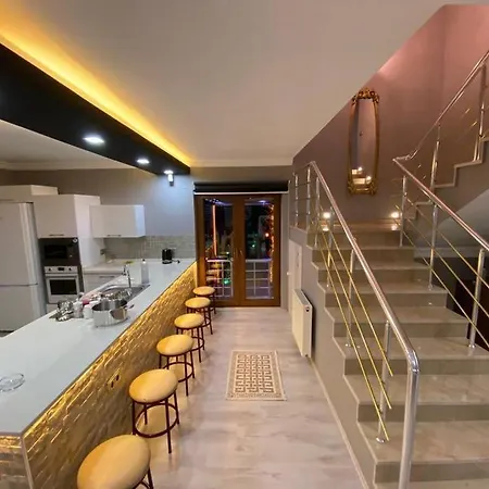 Hotel Super Luxury Dublex House