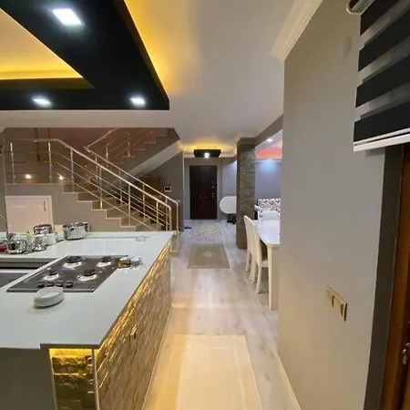 Hotel Super Luxury Dublex House *