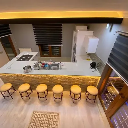 Hotel Super Luxury Dublex House *